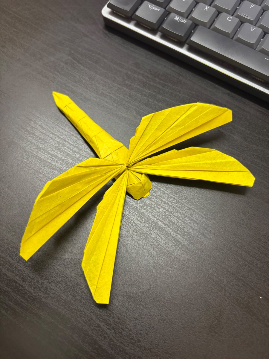 Simple Dragonfly